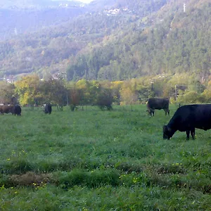 Séjour à la ferme Agriturismo Biobio, Vobarno